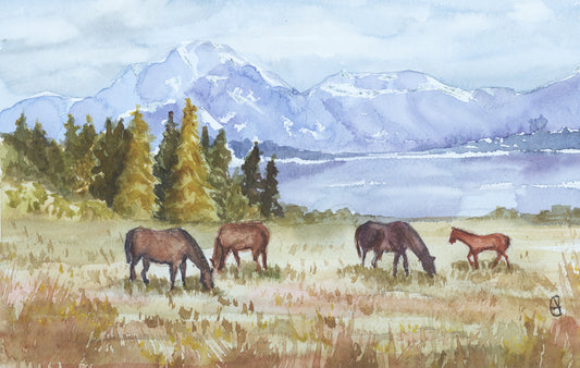 Framed Print of "Alpine Pasture"